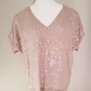 Express Sequin V-Neck Blouse in Light Pink